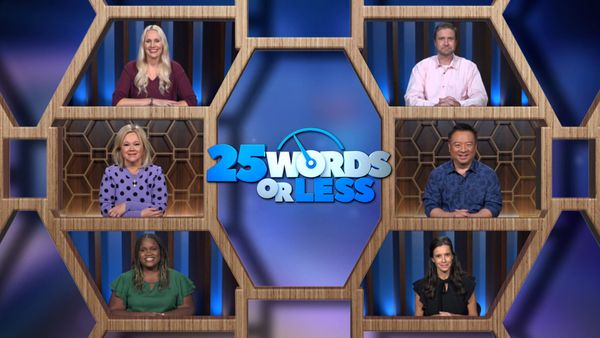 25 Words or Less - Anybody's Game