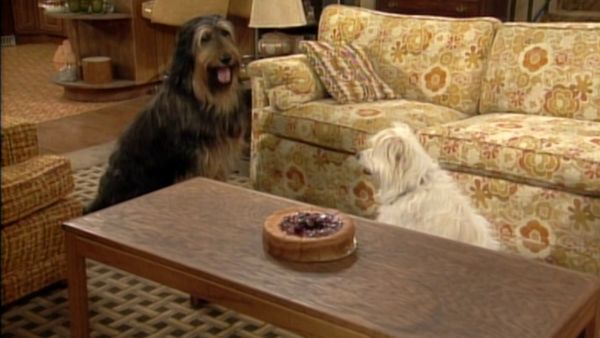 Vore værste år - Look Who's Barking