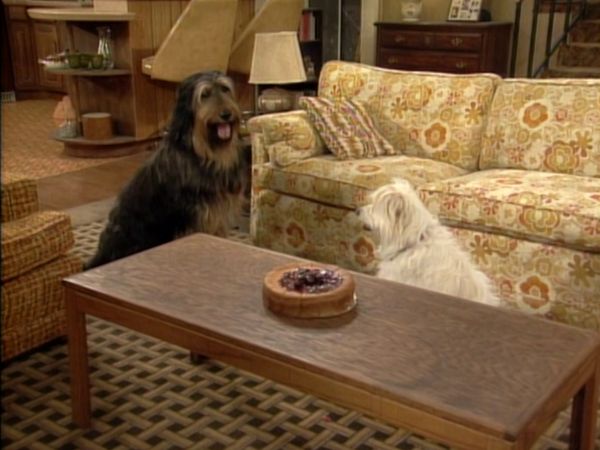 Vore værste år - Look Who's Barking