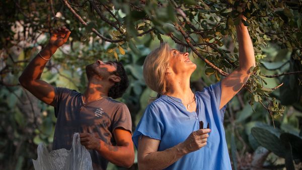 Food Sail Love - Kekova