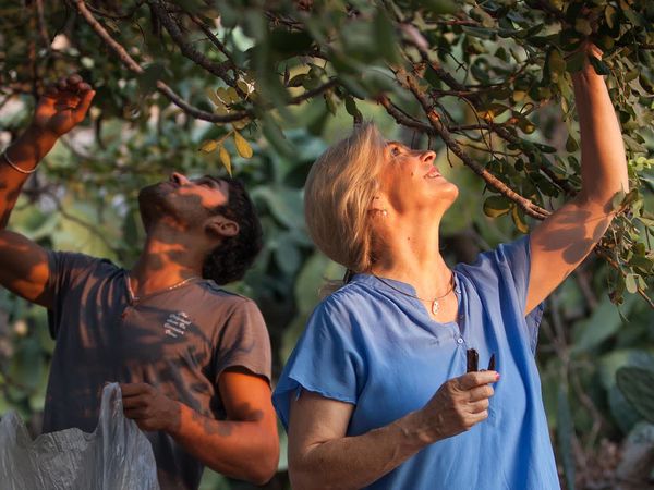 Food Sail Love - Kekova