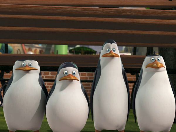 The Penguins of Madagascar LT - Instinto paternal / Robabaterías