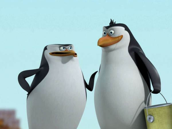 The Penguins of Madagascar LT - Nutria salvaje / Fuga felina