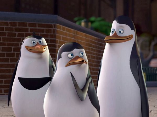The Penguins of Madagascar LT - Fuera de ritmo / La ley de la selva