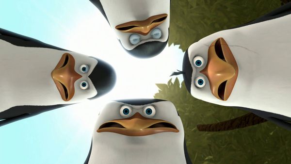 The Penguins of Madagascar LT - Recompensa / Máscara de mapache