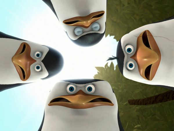 The Penguins of Madagascar LT - Recompensa / Máscara de mapache