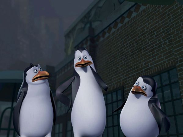 The Penguins of Madagascar LT - El pingüino zombie / Operación aguijón
