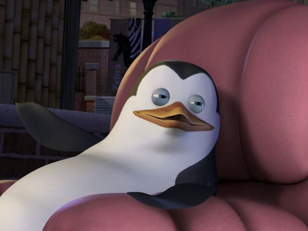 Os Pinguins de Madagascar - Enrolados na rede / Tolos de coroa
