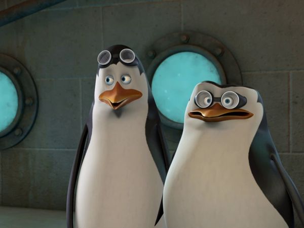 Os Pinguins de Madagascar - Mork turbinado / Colegas de jaula