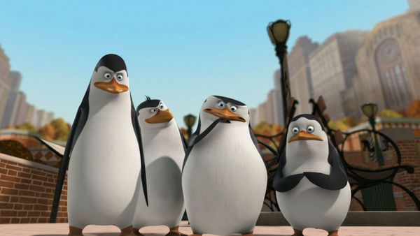 Os Pinguins de Madagascar - Lontra selvagem / Escondam o gato