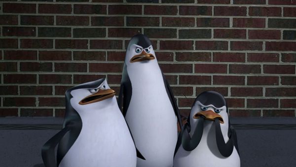 Os Pinguins de Madagascar - Tudo que vai, volta / A máscara do guaxinim