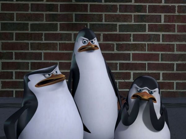 Os Pinguins de Madagascar - Tudo que vai, volta / A máscara do guaxinim