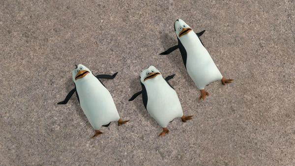 Os Pinguins de Madagascar - Orcacéu! / Vigiados