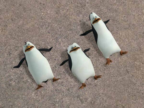 Os Pinguins de Madagascar - Orcacéu! / Vigiados