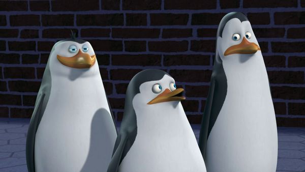 Os Pinguins de Madagascar - Perdendo o rebolado / Lei da selva