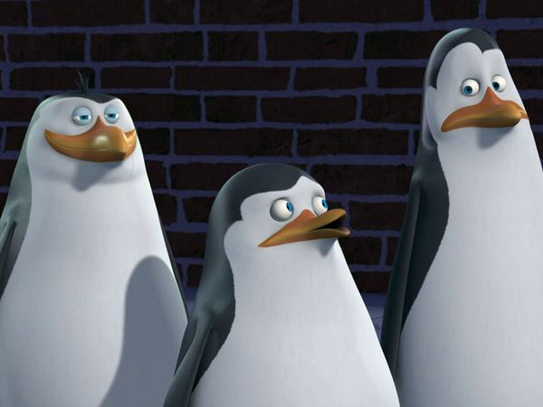 Os Pinguins de Madagascar - Perdendo o rebolado / Lei da selva