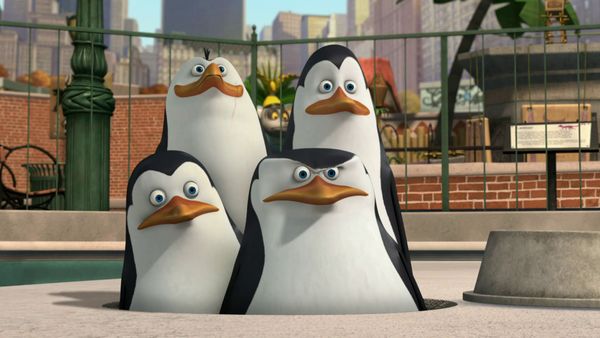 Os Pinguins de Madagascar - Jiggles / TV zoo