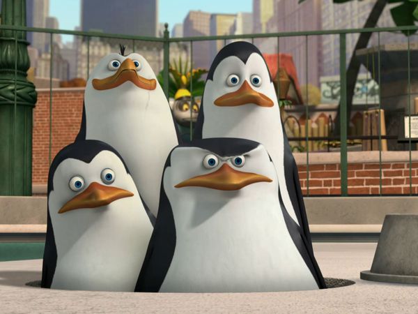 Os Pinguins de Madagascar - Jiggles / TV zoo