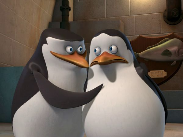 Os Pinguins de Madagascar - Tá miss estranhando? / Por um fio