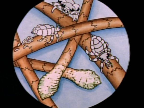 Beavis and Butt-Head - Head Lice