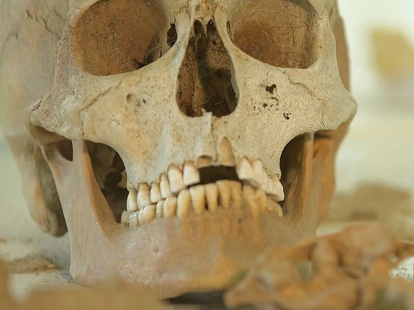Evidencias del Crimen - Un cadáver en el cementerio: el caso de Frederic Butanowicz