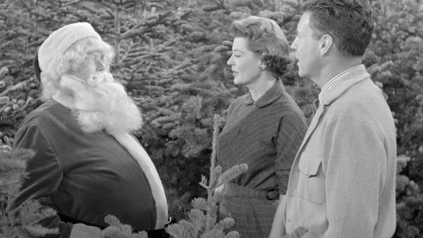The Adventures of Ozzie and Harriet - The Christmas Tree Lot
