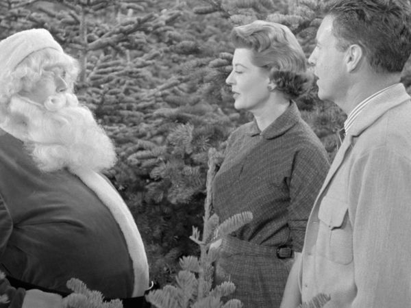 The Adventures of Ozzie and Harriet - The Christmas Tree Lot