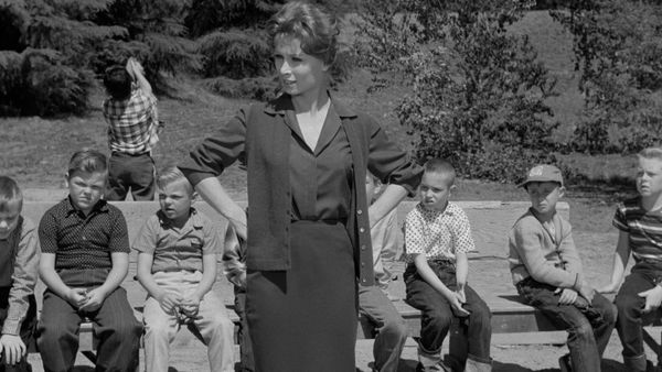 The Adventures of Ozzie and Harriet - David & The School Teacher