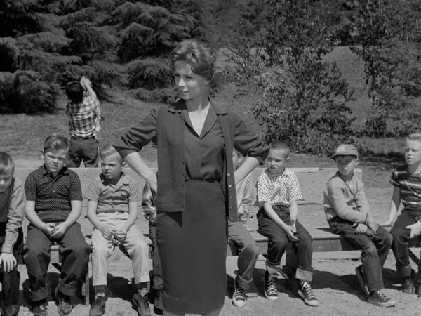 The Adventures of Ozzie and Harriet - David & The School Teacher
