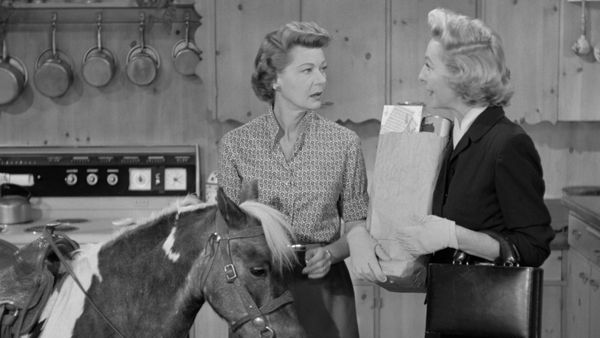 The Adventures of Ozzie and Harriet - The Pony