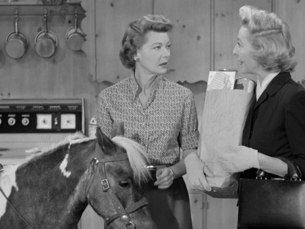 The Adventures of Ozzie and Harriet - The Pony