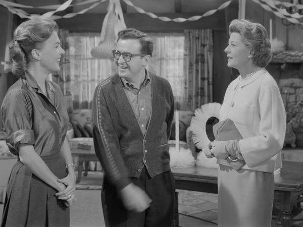 The Adventures of Ozzie and Harriet - David Gets A Raise