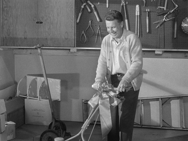 The Adventures of Ozzie and Harriet - A Lawn Mower For Ozzie