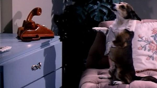My Favorite Martian - Doggone Martian