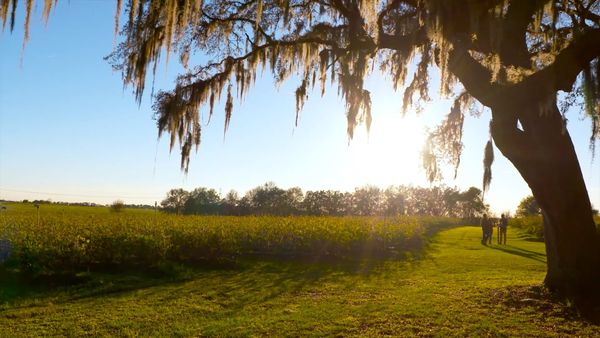 How To Do Florida - Bass Fishing (Sumter County)