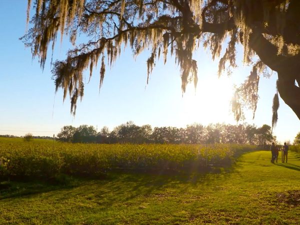 How To Do Florida - Bass Fishing (Sumter County)