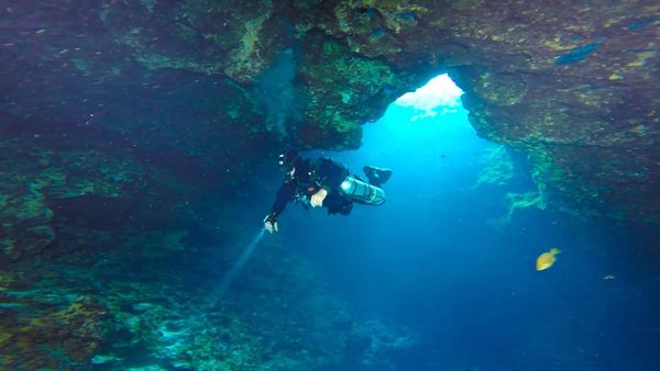 How To Do Florida - Spring Diving