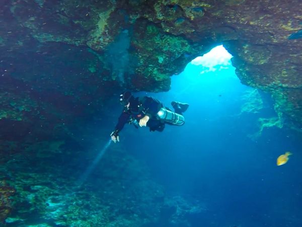 How To Do Florida - Spring Diving