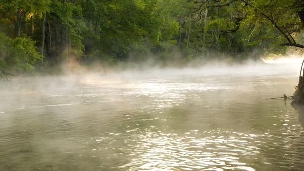 How To Do Florida - The Florida Springs: Above & Below