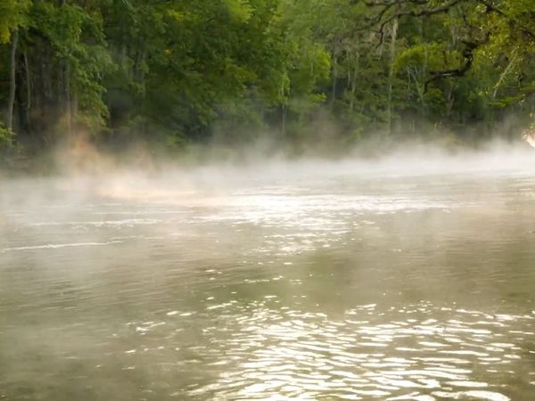 How To Do Florida - The Florida Springs: Above & Below