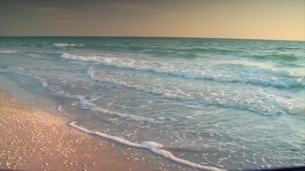 How To Do Florida - Kiteboarding And Shelling