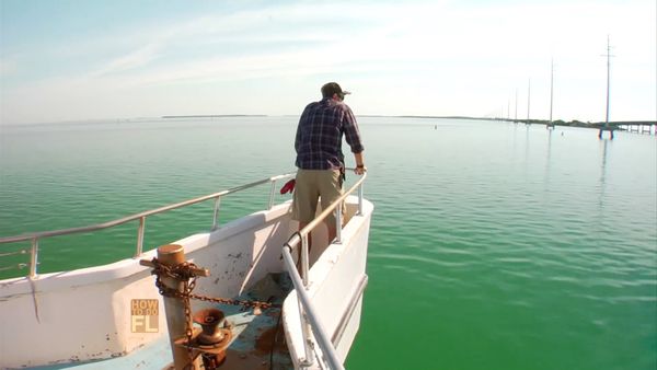 How To Do Florida - Party Boat Fishing And Beekeeping
