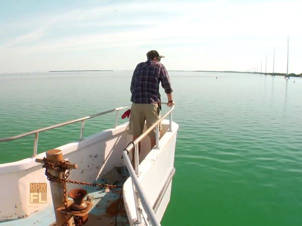 How To Do Florida - Party Boat Fishing And Beekeeping