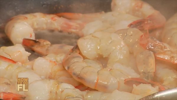How To Do Florida - Shrimping And Surf Fishing
