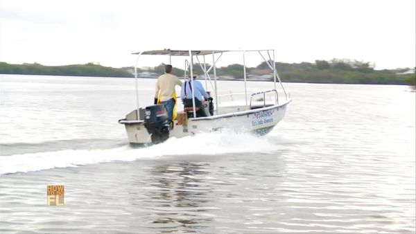 How To Do Florida - Cavern Diving And Crabbing