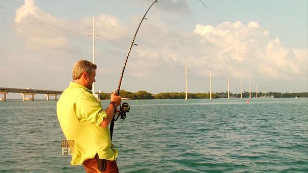 How To Do Florida - Tarpon Fishing And Fossil Hunting