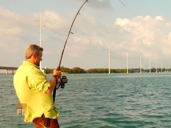 How To Do Florida - Tarpon Fishing And Fossil Hunting