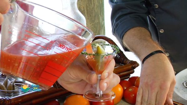 How To Do Florida - Fossil Diving And Oystering