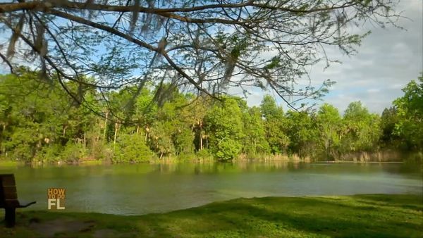 How To Do Florida - Top 5 Camping Moments