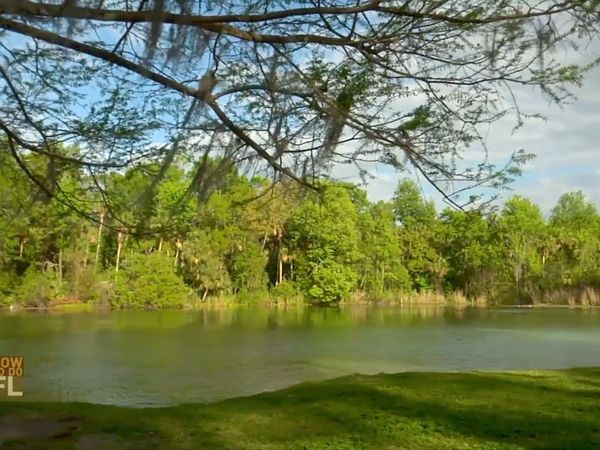 How To Do Florida - Top 5 Camping Moments
